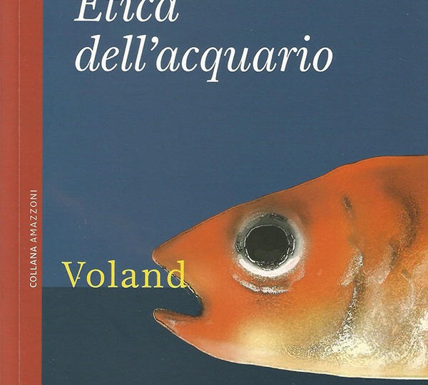 Ilaria Gaspari: Etica dell’acquario e nostalgia acerba del presente